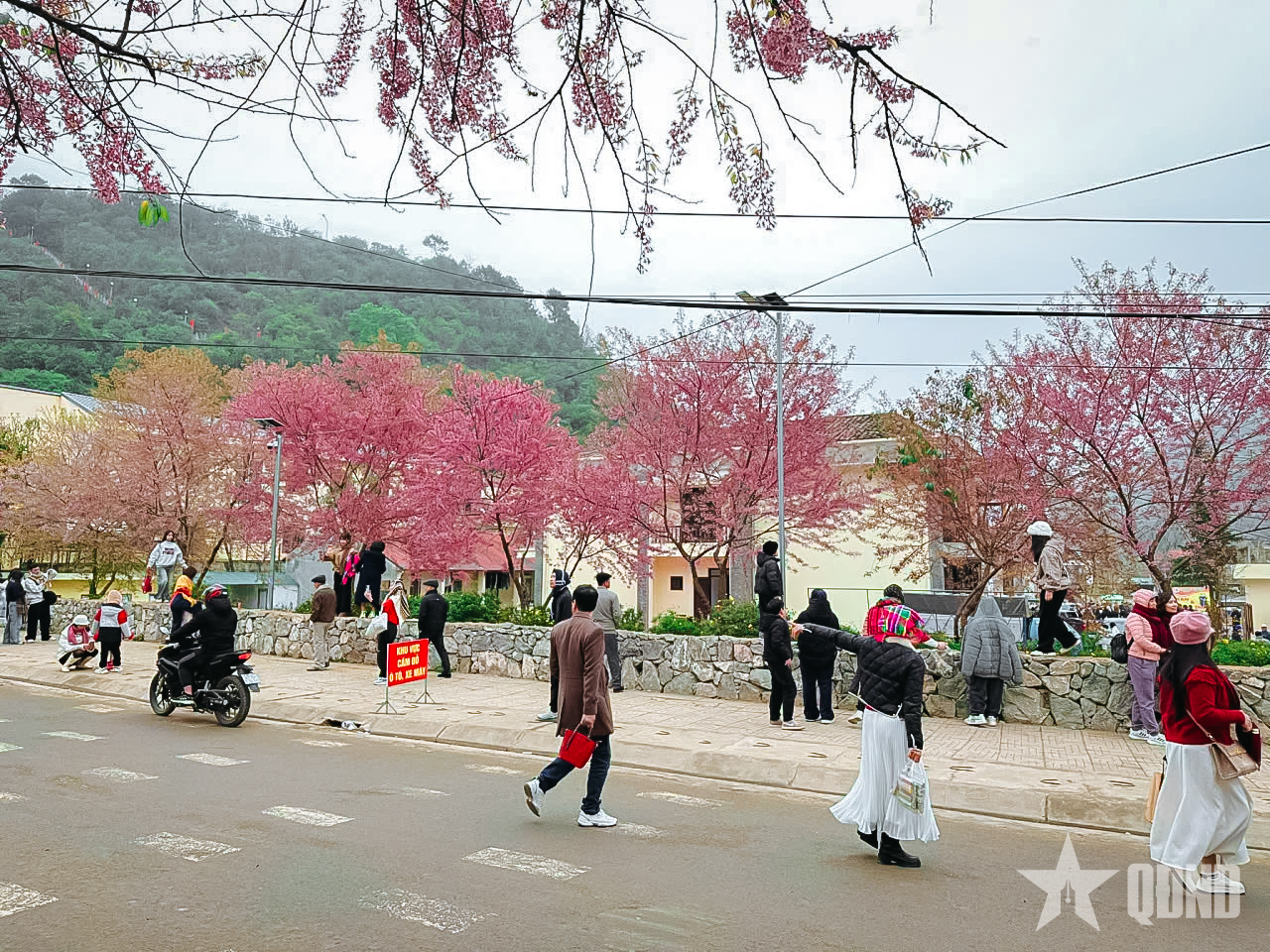 Năm mới trên vùng cao Tuyên Quang

